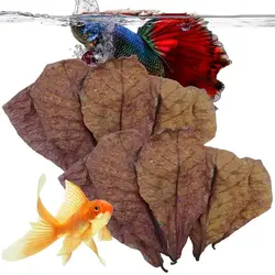 10/20/50Pcs Natural Terminalia Catappa Leaves CleaningTreatment Fish Tank Filter Aquarium Fish Tank PH Water Quality Regulator