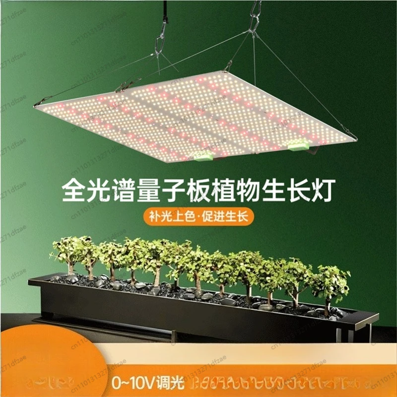 LED Quantum Board Plant Growth High PPFD Dimmable Indoor Vegetable Planting Fill Lighting Tool