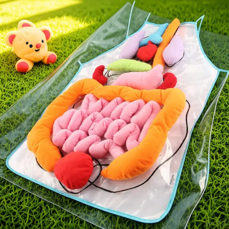 1Set Human Organs Apron Educational Polyester Classroom Teaching Aid Anatomy Preschool Learning Early Education Body Organ Apron