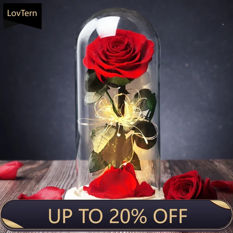 

Room DecorLovTernYongsheng Flower Wholesale Christmas Valentine's Day Gift Little Prince Rose Glass Cover With Lamp