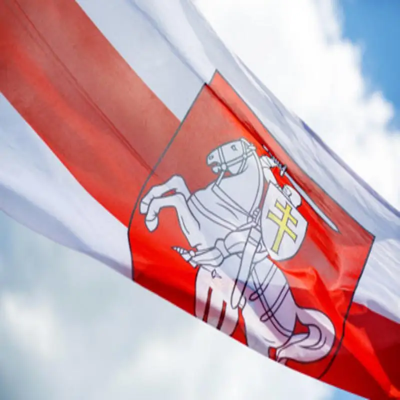 90*150cm The Republic of  Belarus White Knight Pagonya Flag