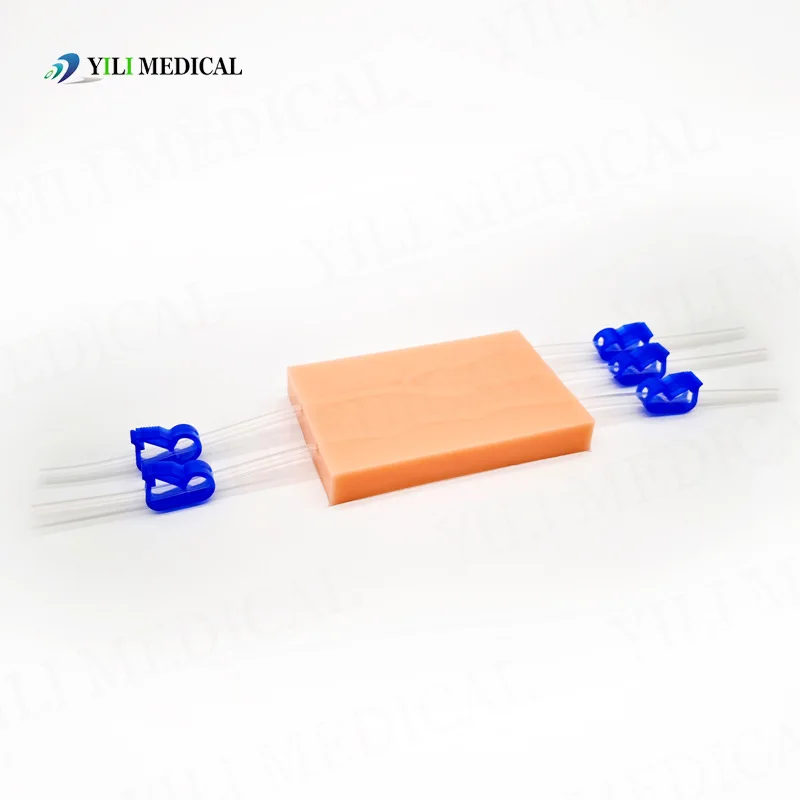 Injection Blood Collection Module, Y-shaped Simulated Vascular Model, Skin Suturing Module, and Venous Blood Collection Training