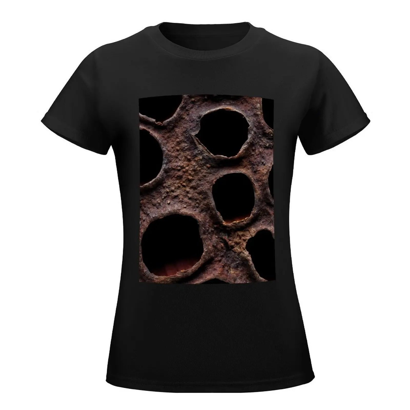 Surface of dried lotus seed box T-Shirt lady clothes animal print shirt for girls t-shirts for Women pack