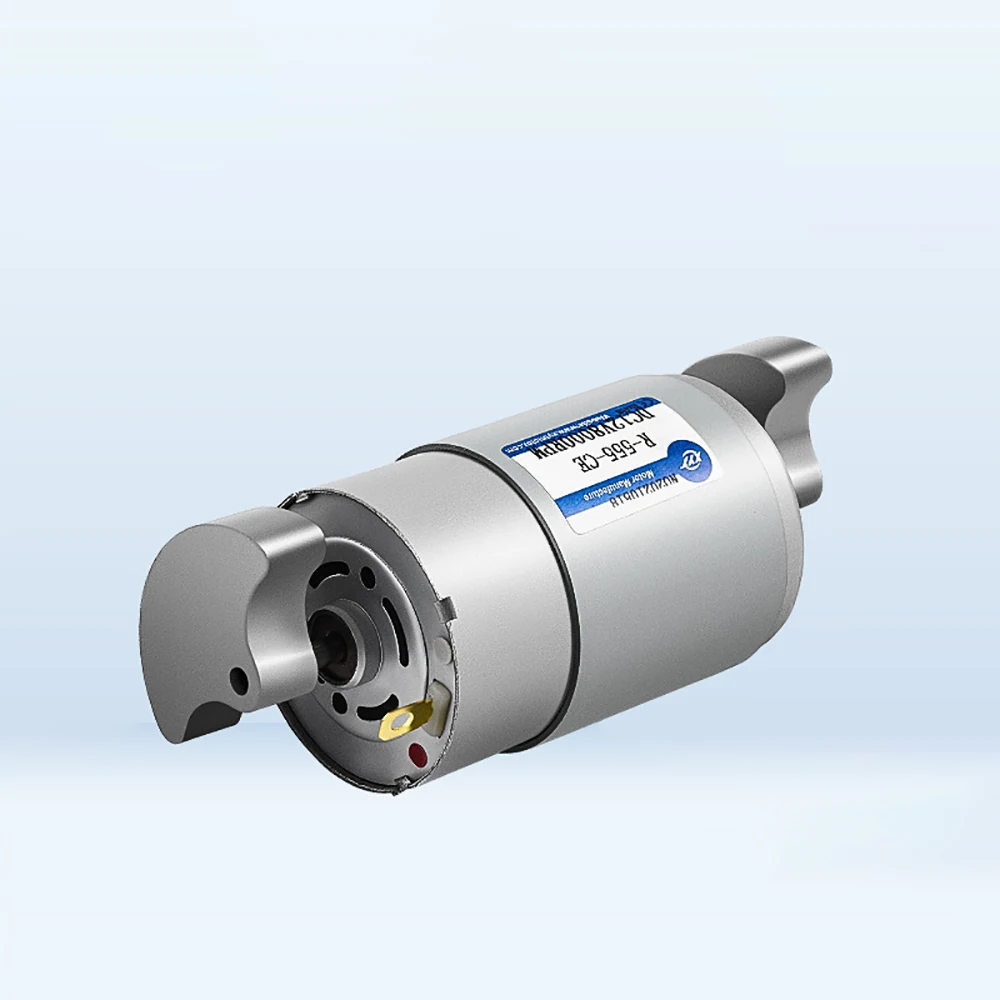 Micro Double Head Vibration Motor Small Vibration Motor DC 12V/24V Adjustable Speed Forward And Reverse Rotation R-555