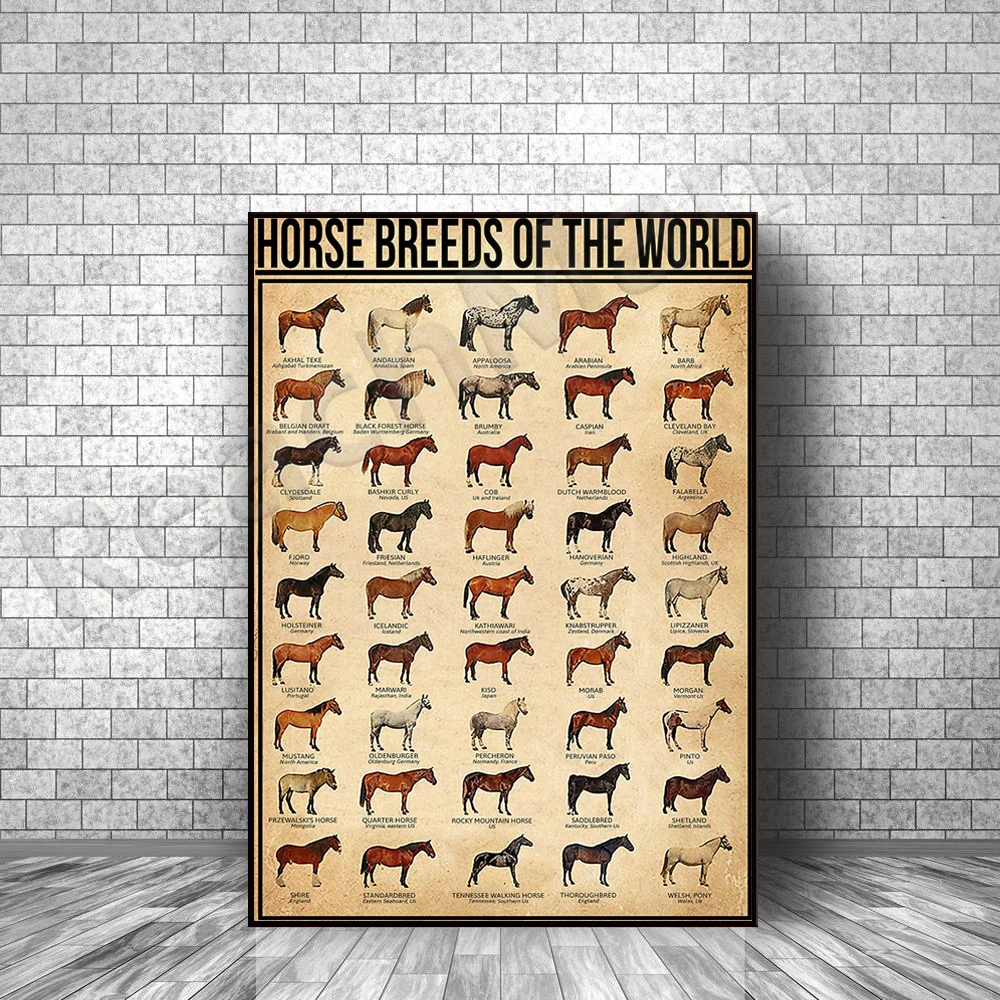 Horse breeds knowledge prints, horse breeds art, horse posters