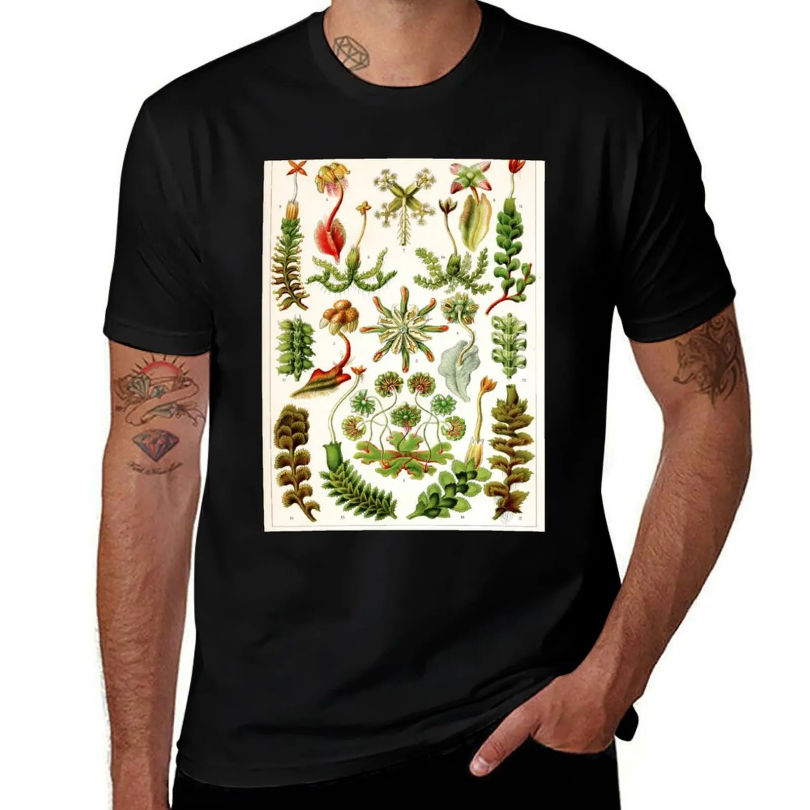 Ernst Haeckel - Hepaticae (plantas de hígado) - Camiseta con ilustración botánica vintage, camiseta de rendimiento de secado rápido