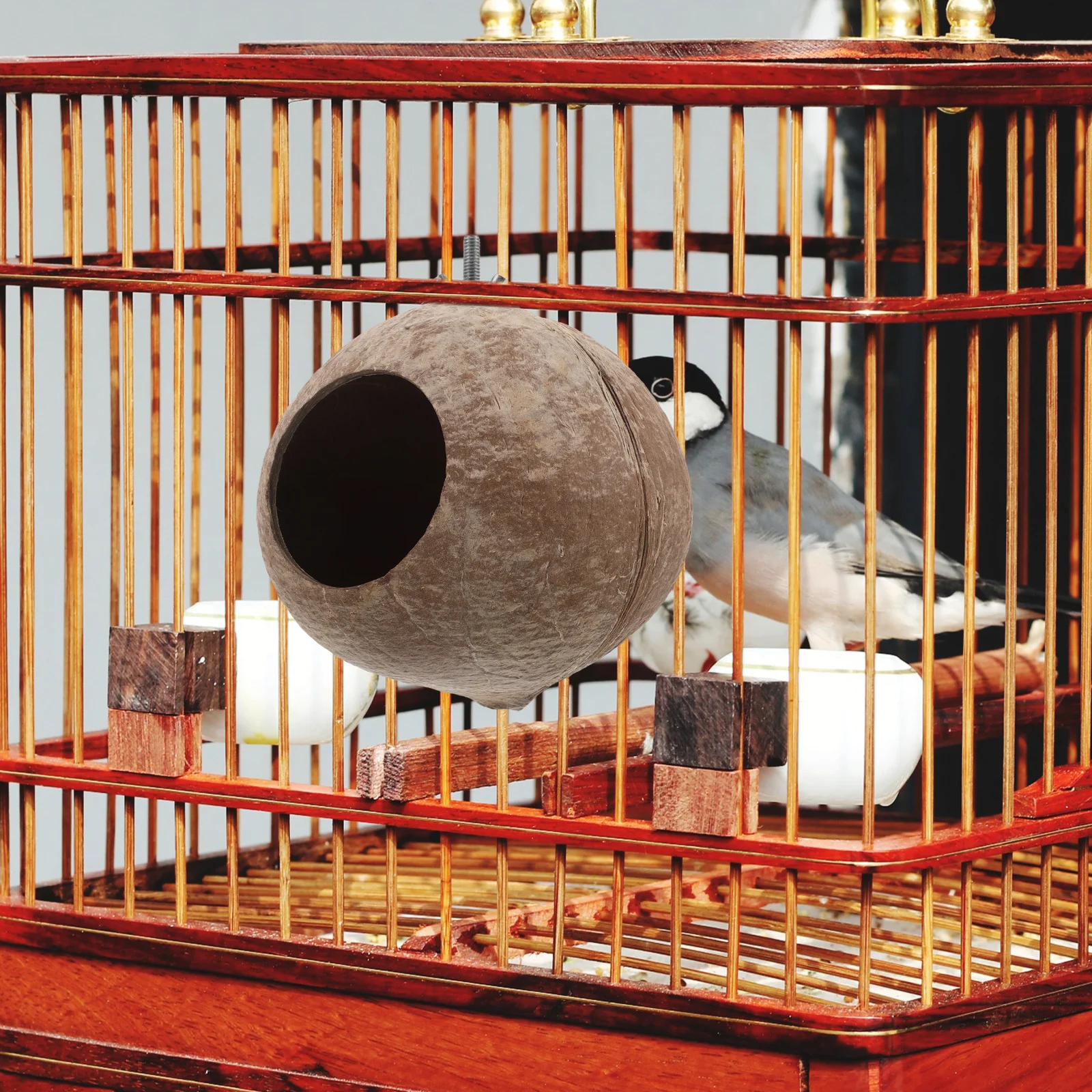 

Coconut Shell Bird Nest Natural Hanging Sleeping Play House For Canary Parrot Lark Small Birds Cage Decor Pet Birds Nest