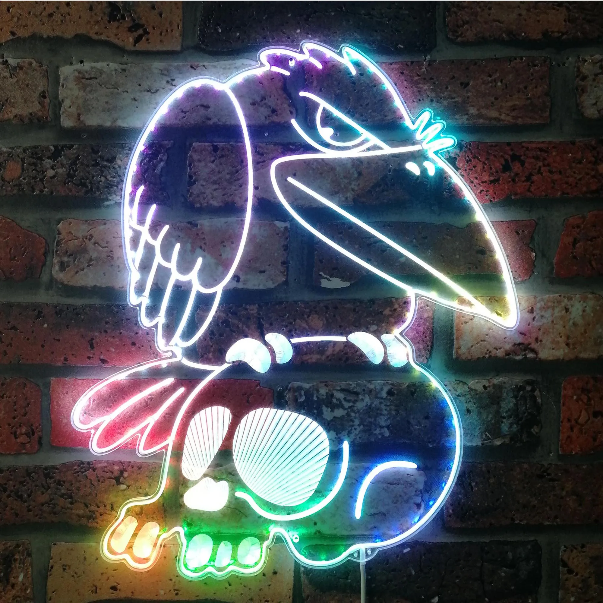 Stark Raven Neon RGB Edge Lit LED Sign, Game Room Decor, Gaming Night Light