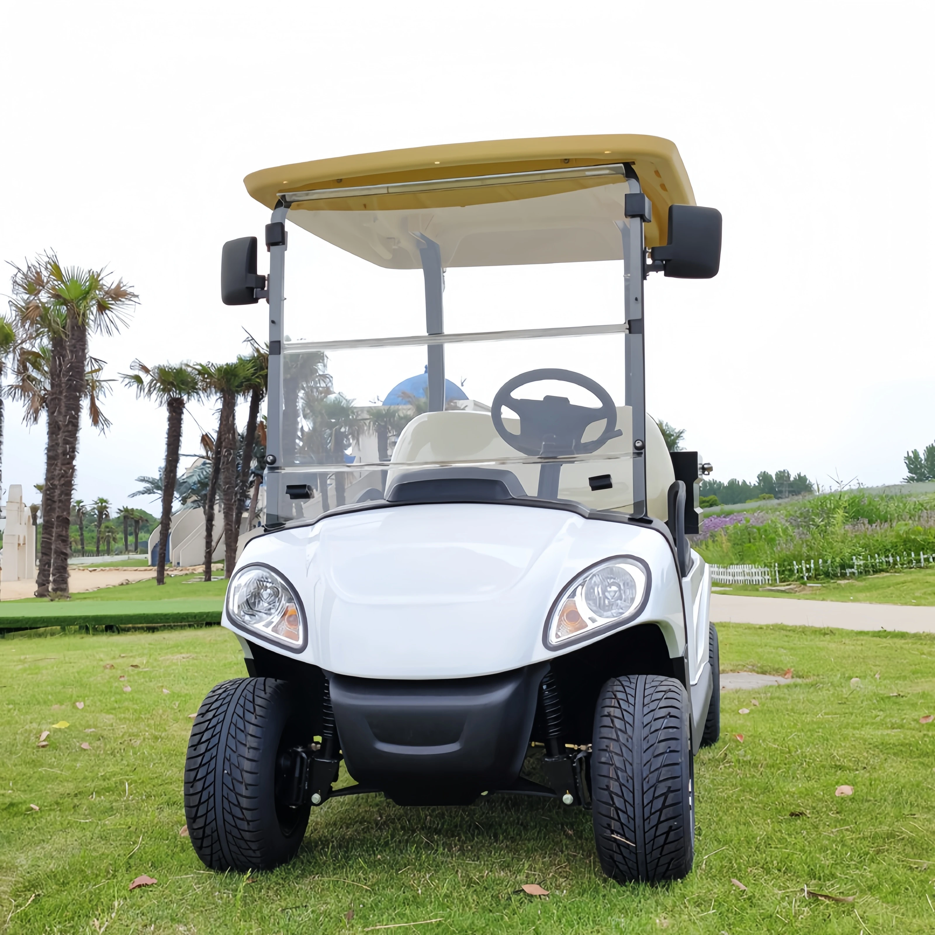 2025 جديد 4 أشخاص بطارية الرصاص الحمضية على الطرق الوعرة الكهربائية الصيد عربة جولف الشارع القانوني الكهربائية على الطرق الوعرة مركبة EEC/DOT شهادة #1