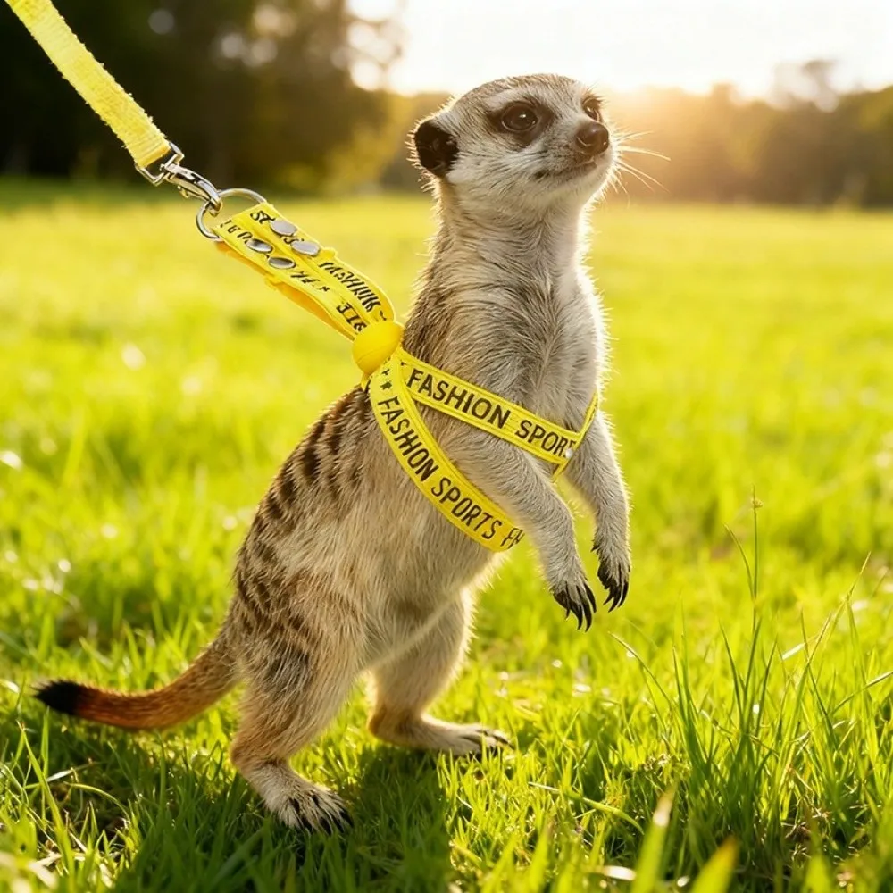 Practical Adjustable Rabbit Towing Rope Escape Proof Soft Guinea Pig Harness Comfortable Pet Traction Rope Outdoor Walking