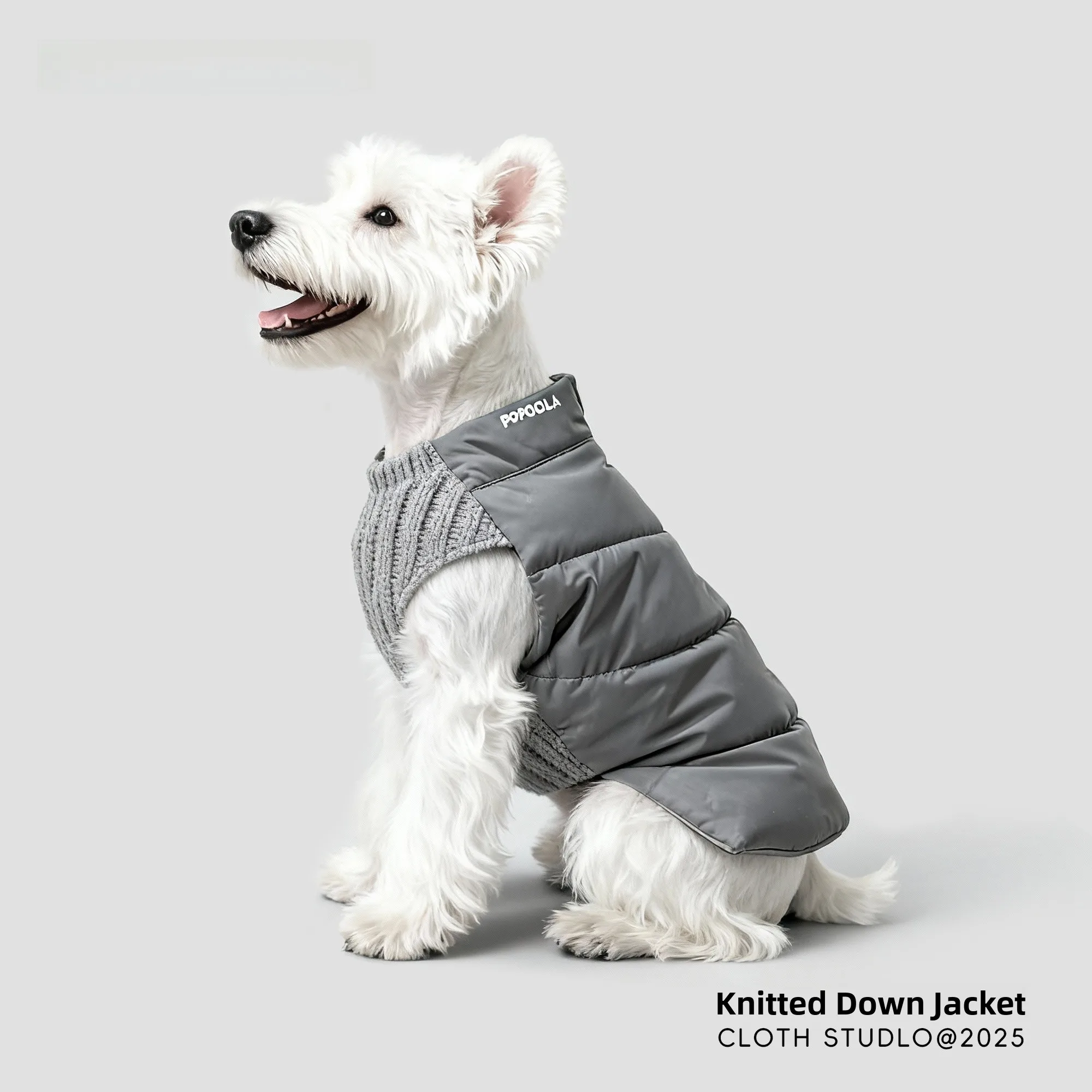 

Зимняя стеганая одежда для собак Jaet для маленьких собак, как Bichon And Teddy, повседневное теплое пальто с наполнителем Du