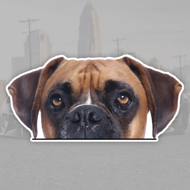 DK328# Peeking Boxer Creative Waterproof Car Stickers Vinyl Decal Motorcycle Decorative Accessories