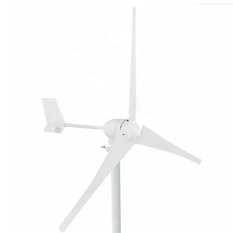 Free Energy 1kw Wind Generator for Home 12v 24v 48v Wind Generator for Street Light Garden Use