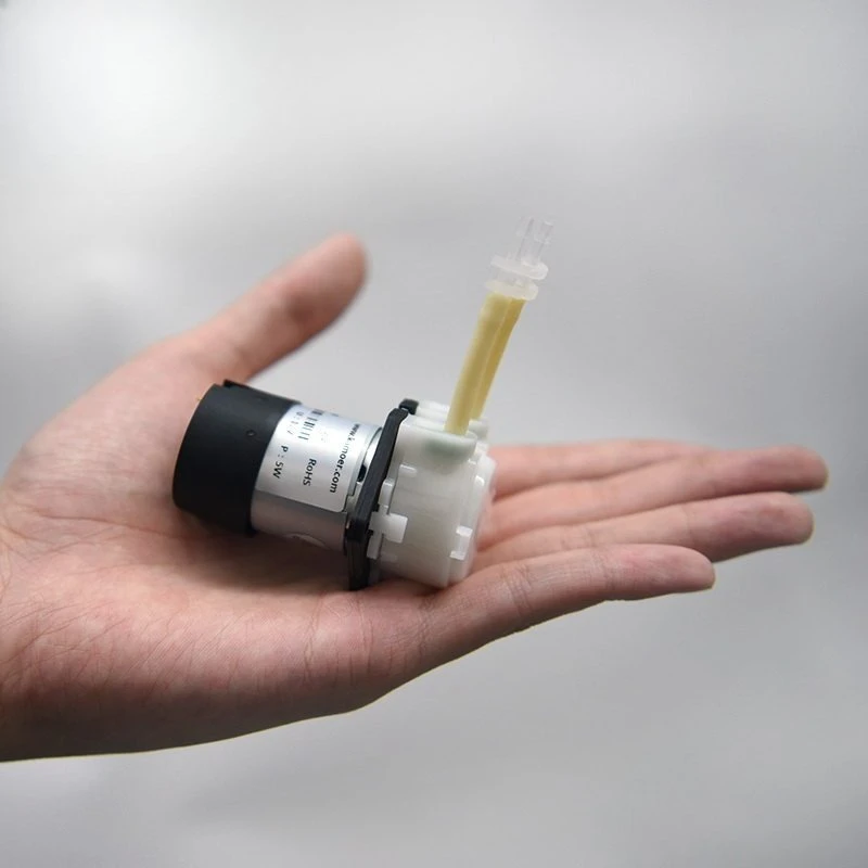 Laboratory Peristaltic Pump 12v Self-priming Pump Circulating Mini Electric Miniature 24v Small Water Pump