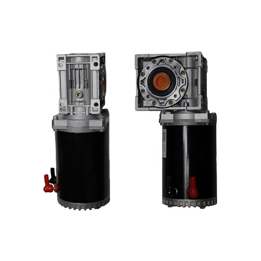 

China High 900W Electric Motor 24V High Torque Low RPM Brushed DC Geared Motor Permanent Magnet Fan Boat Use 24V Volta Sale