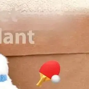 

Милый мультяшный плюшевый мяч, украшение, кукла, кулон, брелок, каваи, футбол, ракетка для настольного тенниса, мягкая кукла, игрушки, подвеска, подарки