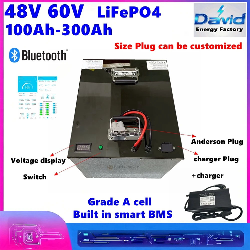 

LiFePO4 аккумулятор 48 В 60 В 100 Ач-300 Ач для скутера Go cart газонокосилка трехколесный велосипед EVForklift перезаряжаемый глубокий цикл мини EV + зарядное устройство