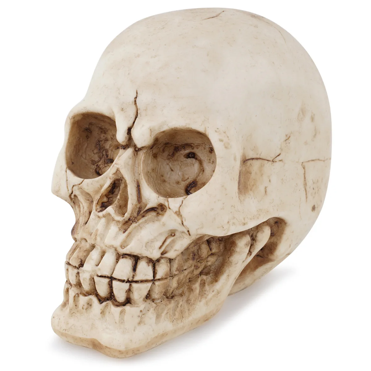 

Resin Skull Mini Small Skull Crafts Personalized Ornament Foreign Trade Supply Halloween DecorationHalloween