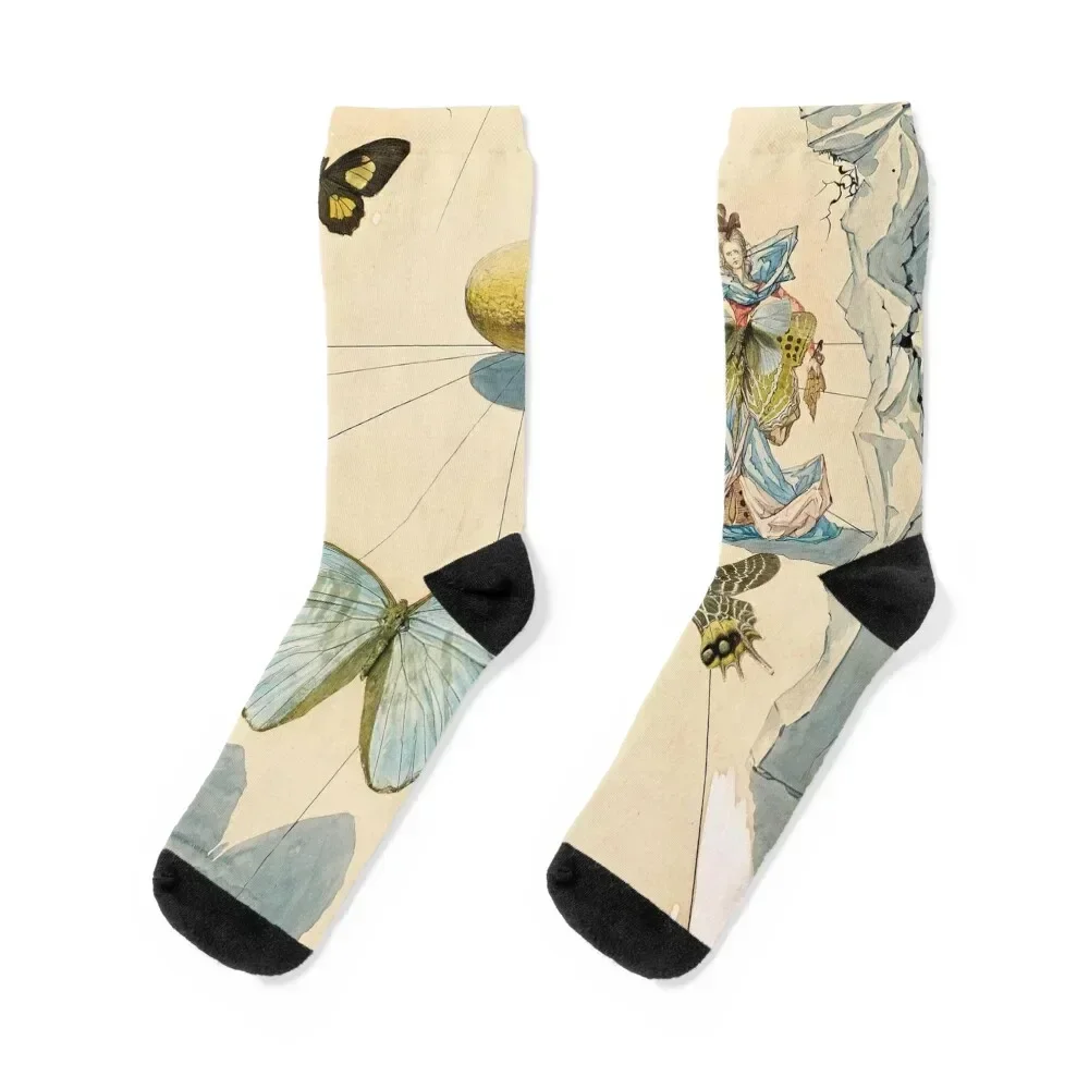 

Salvador Dali Allegorie de Soie Socks man Children's Mens Socks Women's