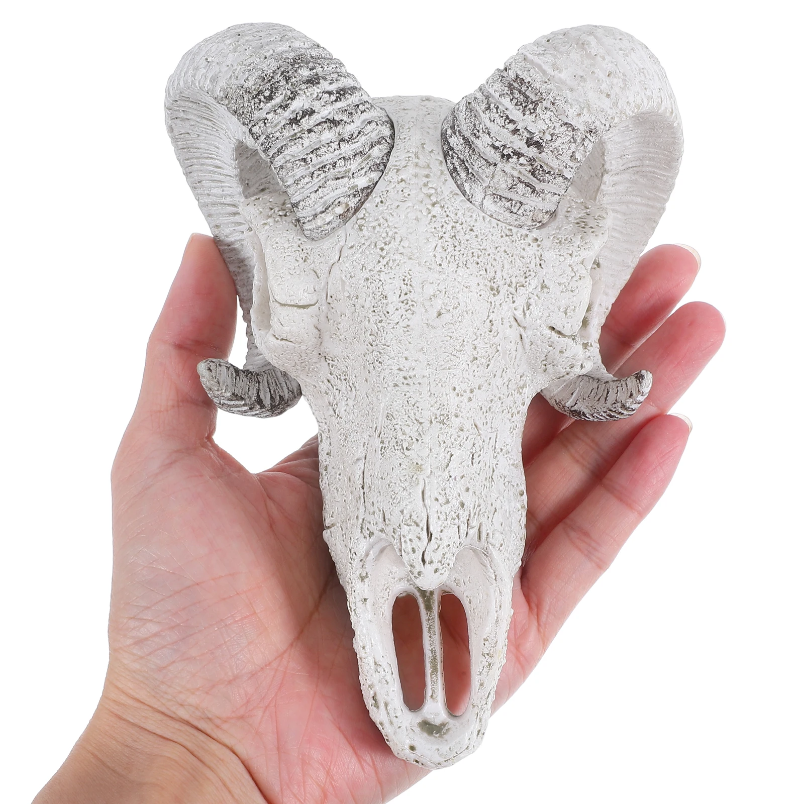 

Aquarium Skull Decor Realistic Bull Skull Hideout Fish Tank Reptile Terrarium Cave Landscape Ornament Reptile Cave Hide