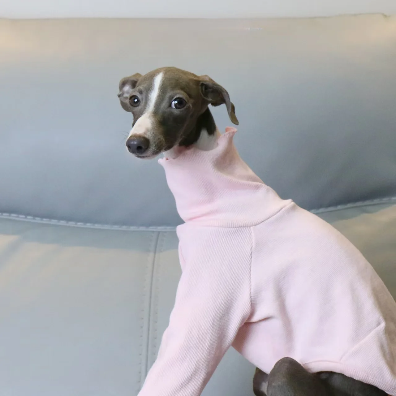 Vestiti per levrieri italiani Camicia Whippet con fondo elastico rosa filettato a collo alto Abiti morbidi e confortevoli per animali domestici