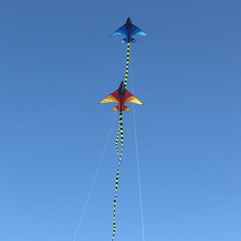 Frete grátis avião pipas voando brinquedos divertidos para crianças pipas linha de corda pipa de energia águia brinquedo escudo pipa voando mostrar pipas bobina