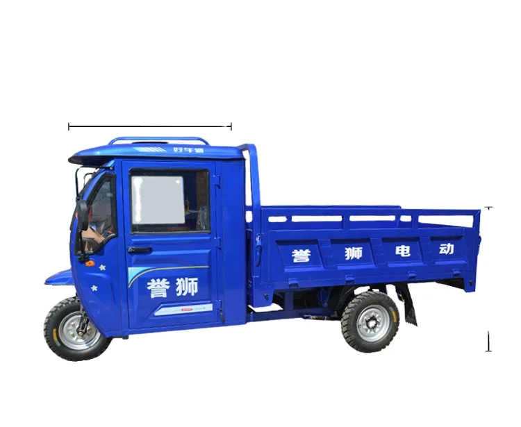 20253 عجلات مركبة زراعة البضائع دراجة ثلاثية العجلات الكهربائية 1000 واط قوة كبيرة مغلقة مع المقصورة