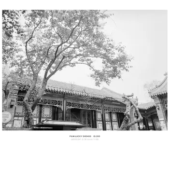 8 best sales Phim âm bản - №2