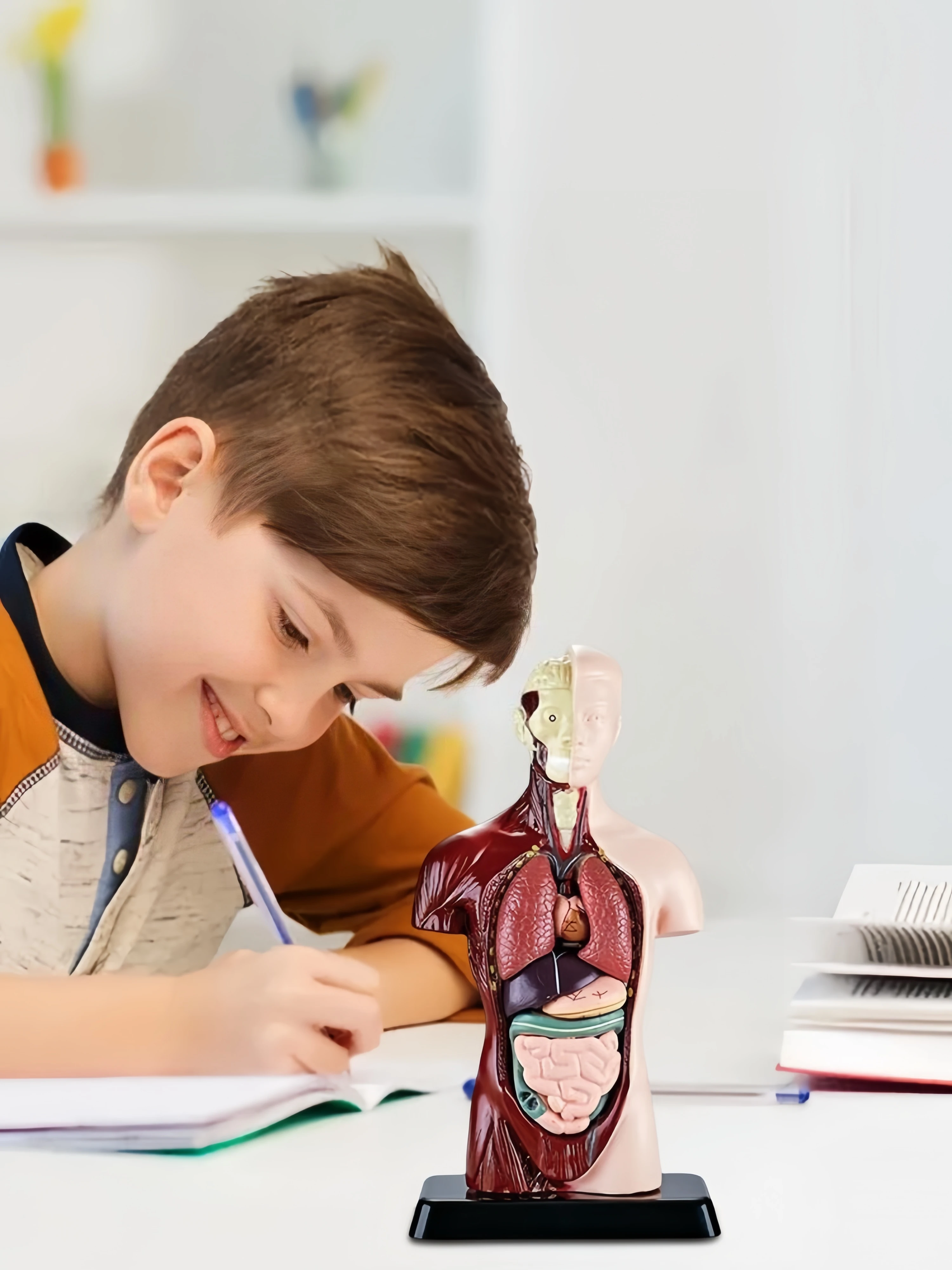 Menselijk lichaam kinderen onderwijs, DIY Mannequin 3D Menselijk Lichaam Model, Biologie Educatief Speelgoed voor kinderen, een stuk, Cadeau, Kerstmis