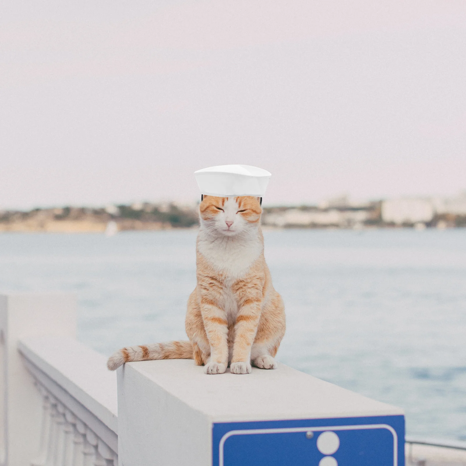 

Pet Sailor Hat for Dogs and Cats Creative Design Cosplay Accessory Perfect for Parties Festivals Photoshoots Cat Hat