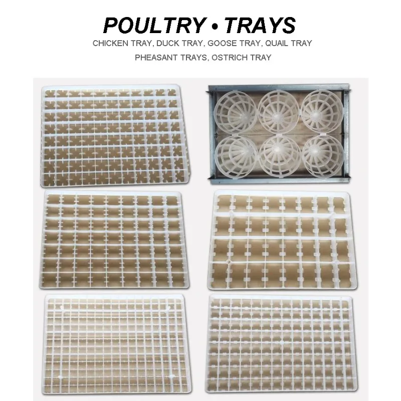 Fully Automatic Feeding Water 176 Eggs Setter Poultry Equipments And Incubator For Hatching Chicken Egg view 6
