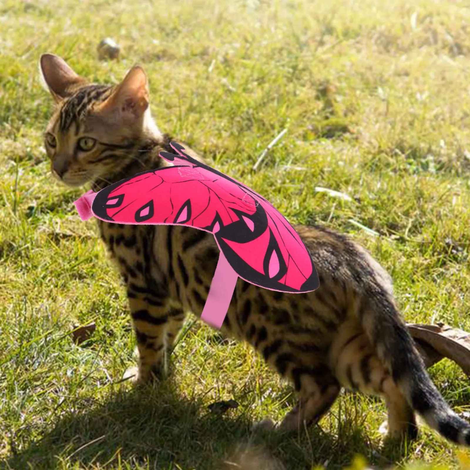 

Butterfly Print Cat Clothes Halloween Pet Costumes Creative Garment Light Weight Adjustable Harness Festive Atmosphere Soft