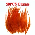 50pcs Orange