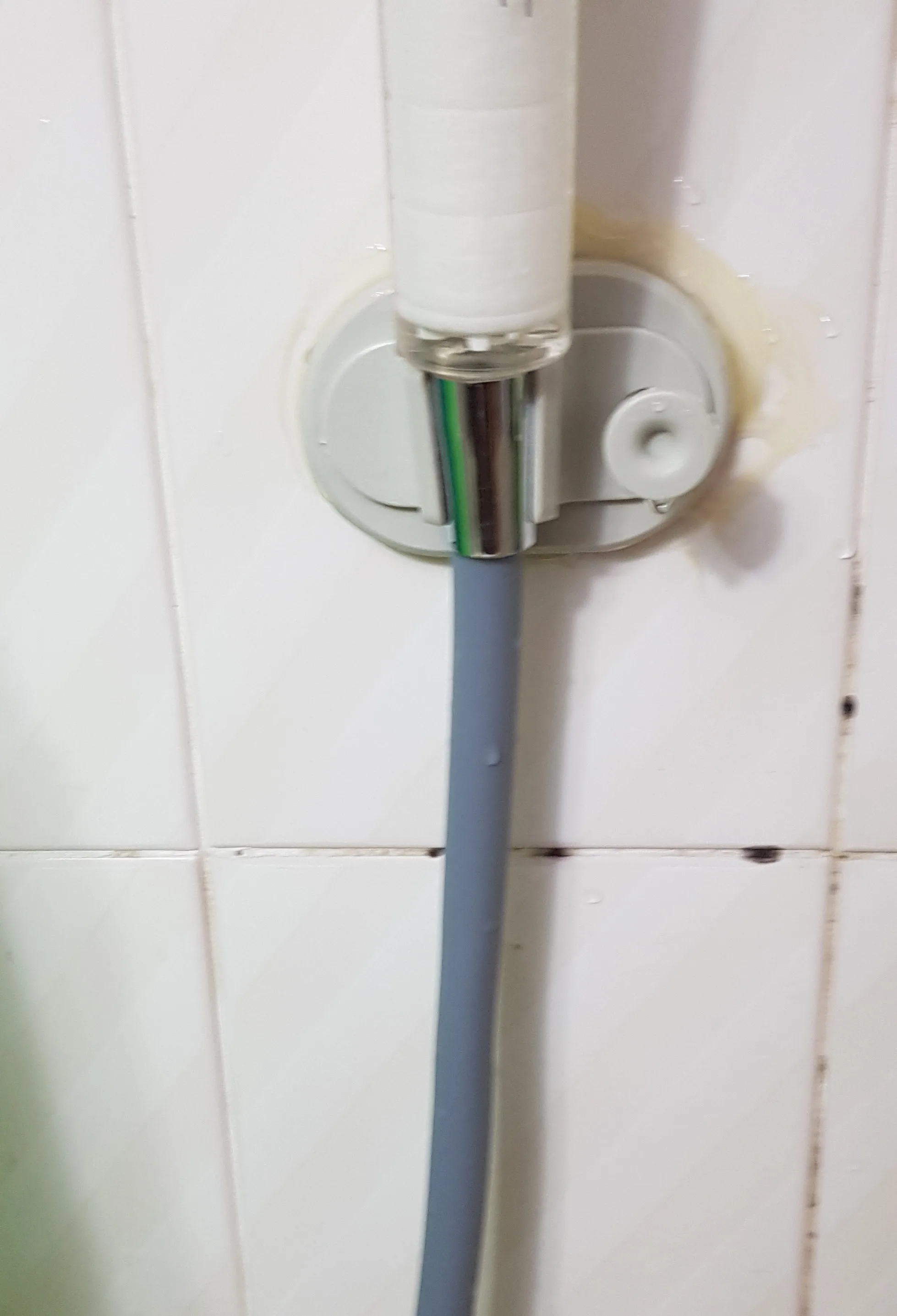 실물 포토 리뷰
