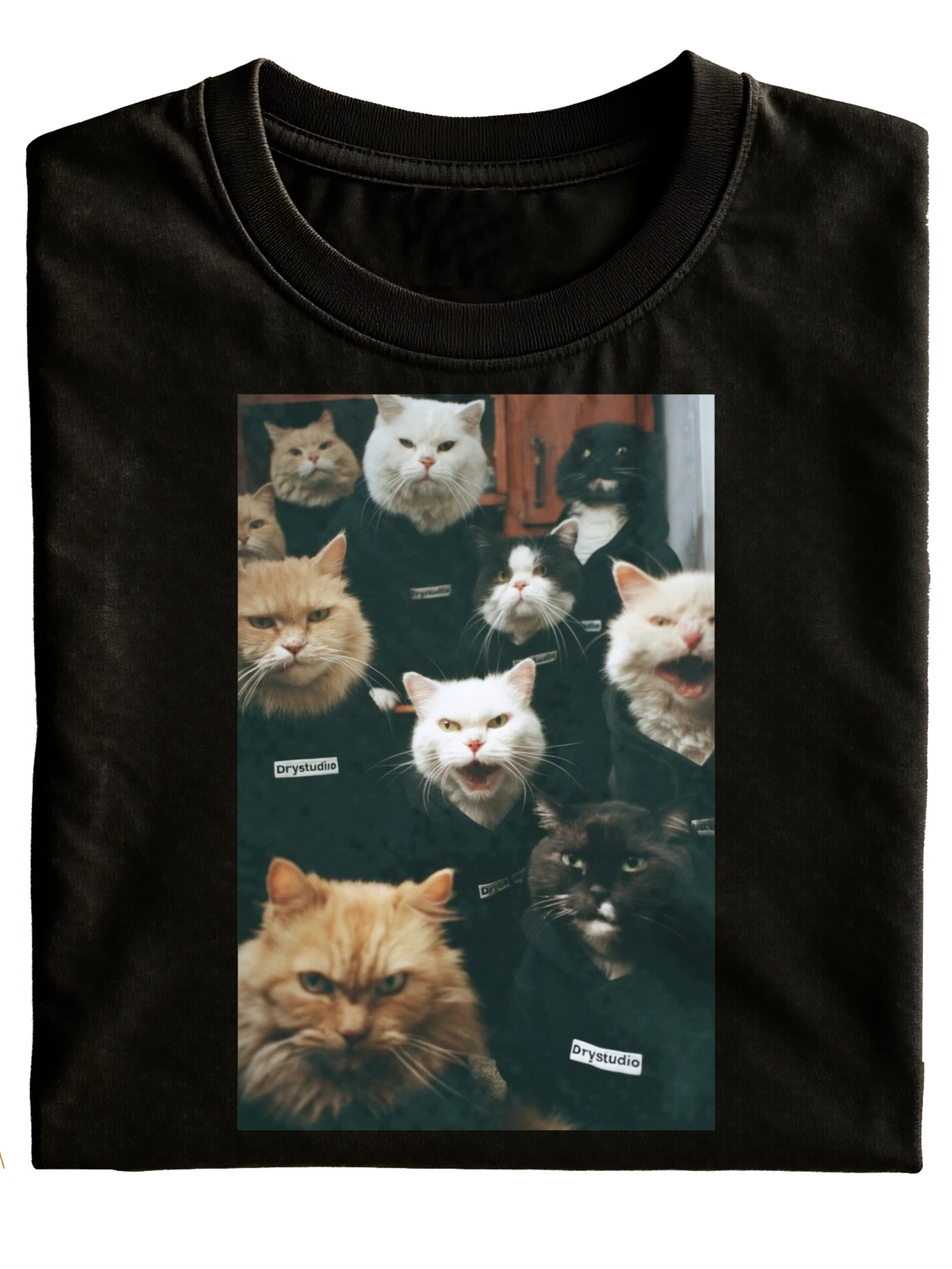 Funny Cat Faces Printed Crewneck T-Shirt Black Cat Head Design with Text Dry Studio for Casual Wear Gift Idea   Fashionable And Versatile Holiday Style, PLUS SIZE