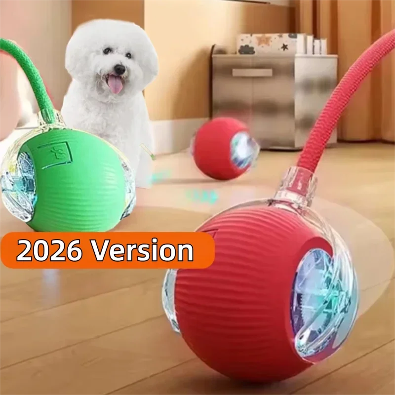 #57 New Puppy Balls Arrivals