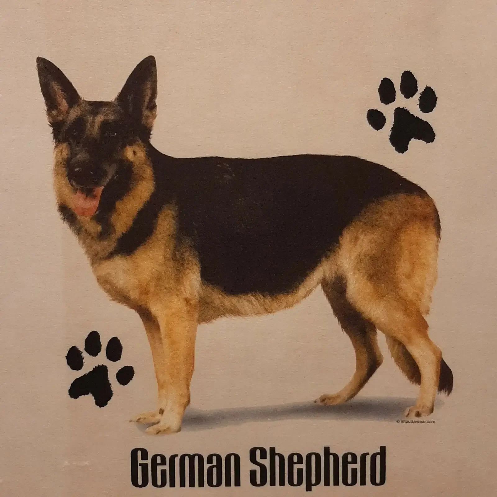 GERMAN SHEPHERD DOG BREEDS PROFILE DESIGNS SHIRT FRONT PRINT ONLY vintage Washed Versatile Slightly designer clothes