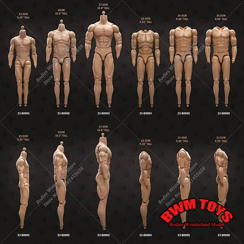 

23TOYS 23-BD001 BD002 BD003 BD004 BD005 BD006 1/6 Male Soldier Standard Muscle Joint Body 23.5cm-27.5cm Action Figure Body