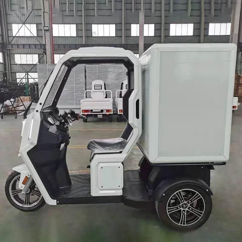 2000w Freight Tricycle Agricultural Elderly Cargo Custom Adult Motorized Electric Tricycle Automatic Rickshaw For Sale