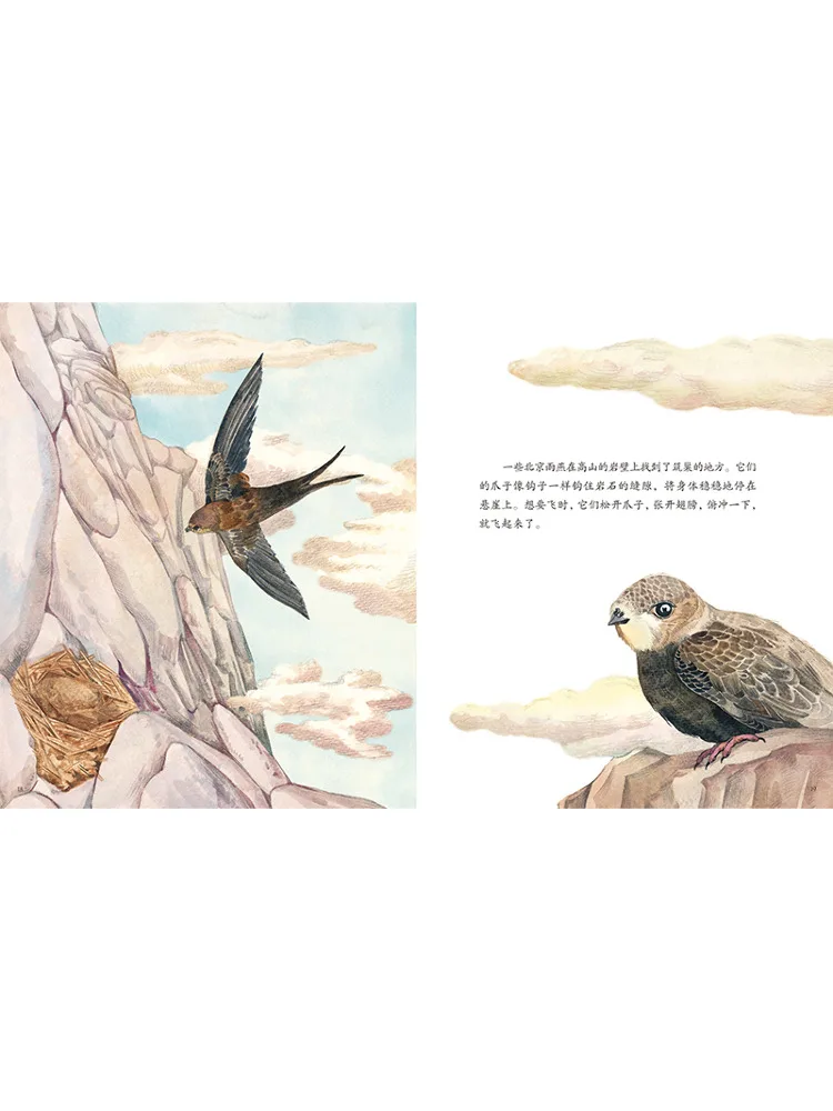 Libro-Winshare La nuova casa di Pechino Swift