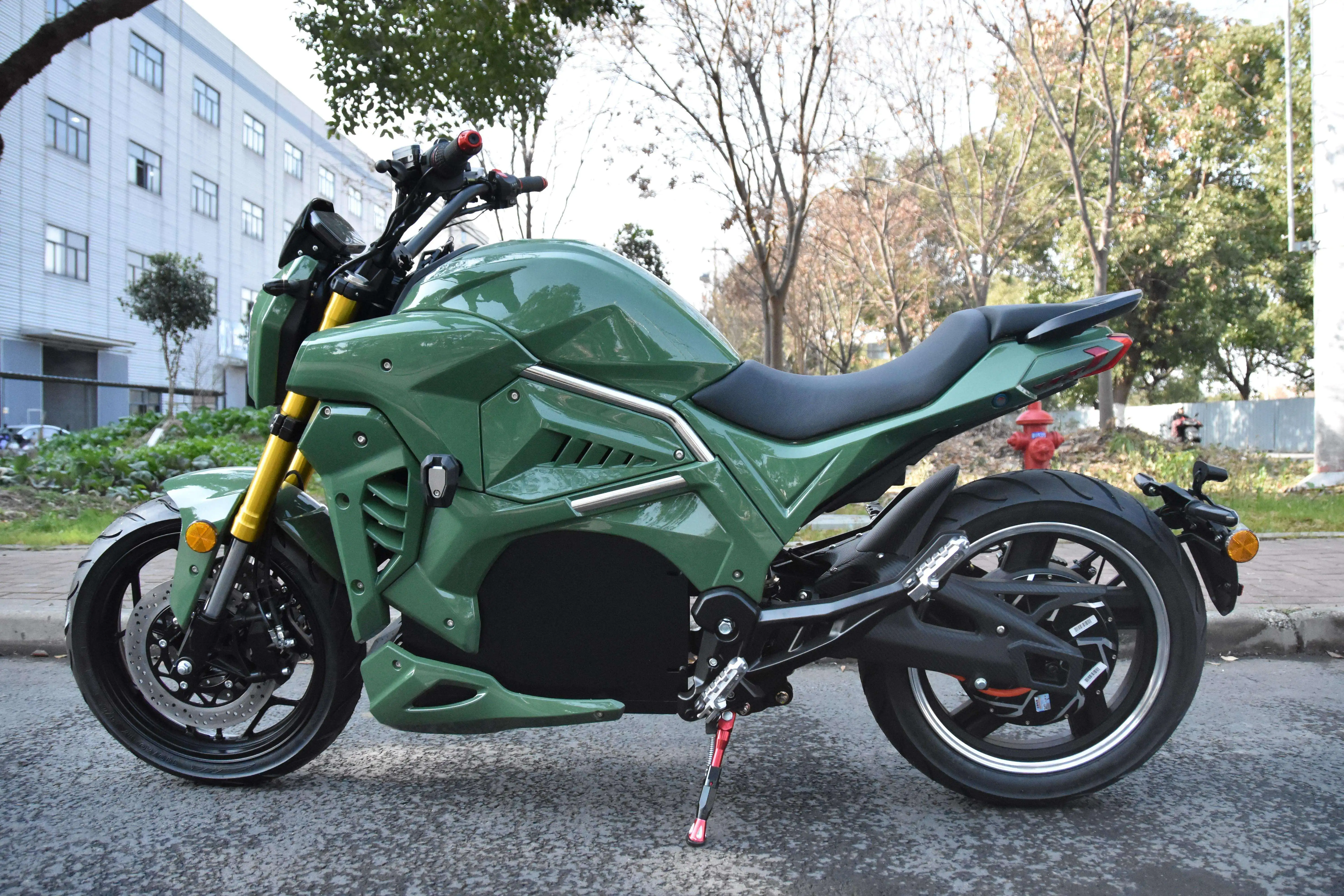Tc DMG factory direct sales electric motorcycle 72v adult motorcycle manufacturers imported EEC speed sports electric motorcycle