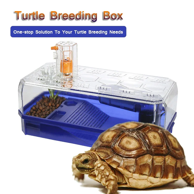 

Reptiles Feeding Tanks Anti-Escape Turtles Tanks Plastic Transparency Turtles Cages with Areas To Breed Swim Basking Platform