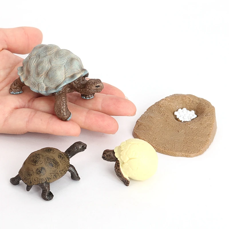 Simulation de la vie animale de la tortue, jouets pour enfants, subventionnement de la croissance des animaux, modèle de croissance des animaux