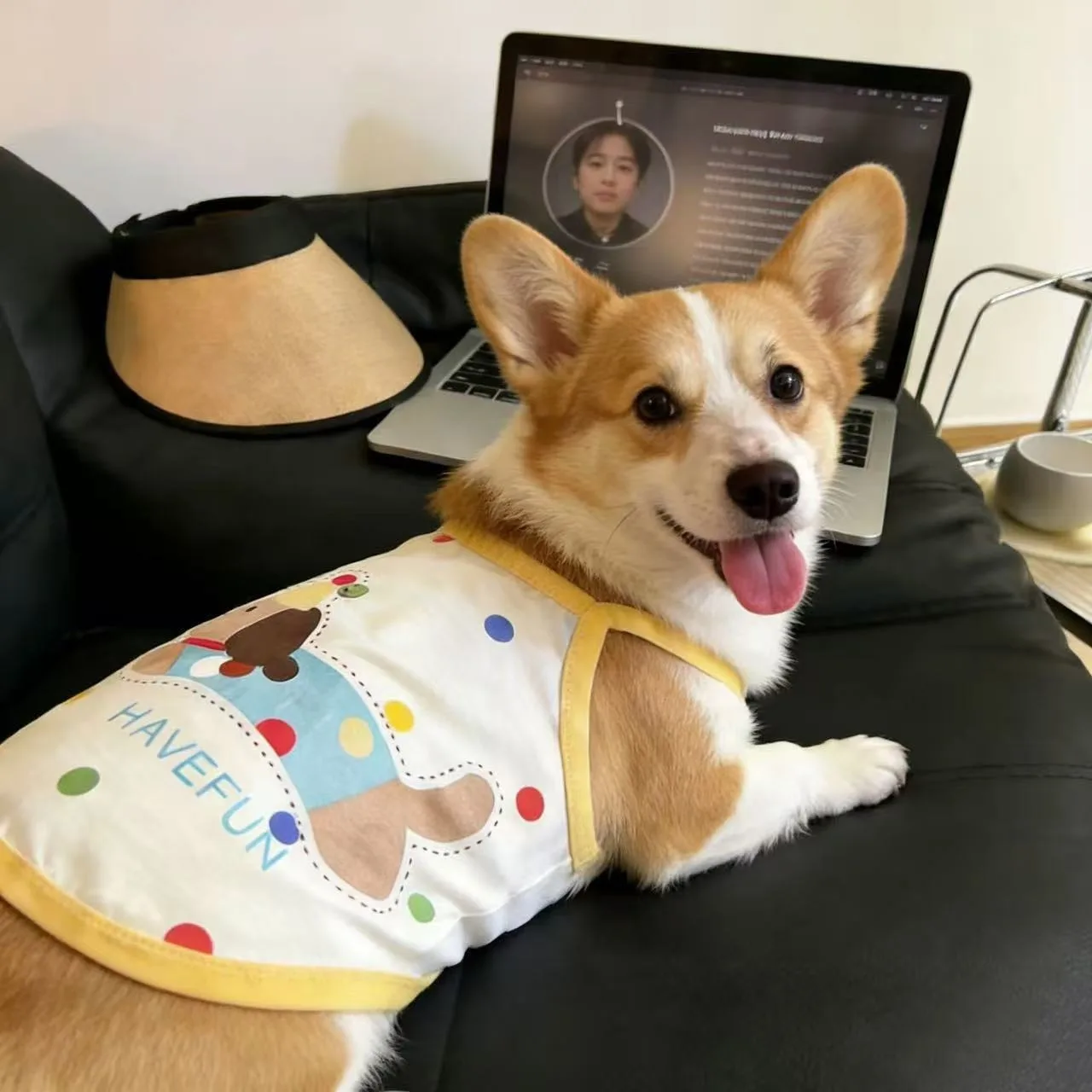 Camiseta con Estampado de Puntos para Perro Corgi, Ropa para Perro, Chaleco Suave de Verano para Perro Mediano, Dachshund, Suministros para Mascotas, Tallas 2XL-5XL