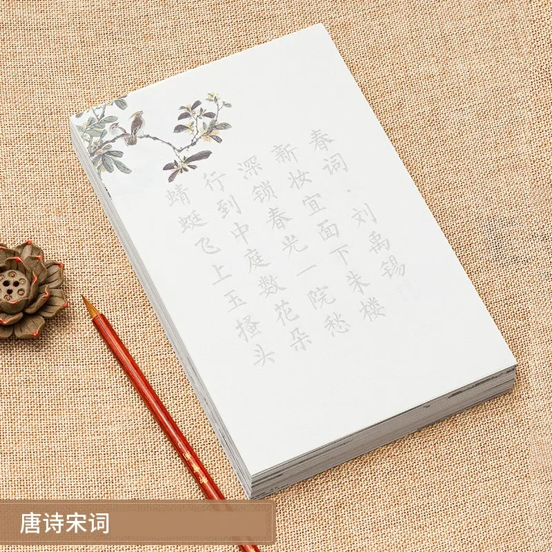 Chinese Soft Pen Calligraphy Copybooks Chinese Small Regular Script Calligraphy Copybooks Traditional Basic Poem Sutra Copybooks