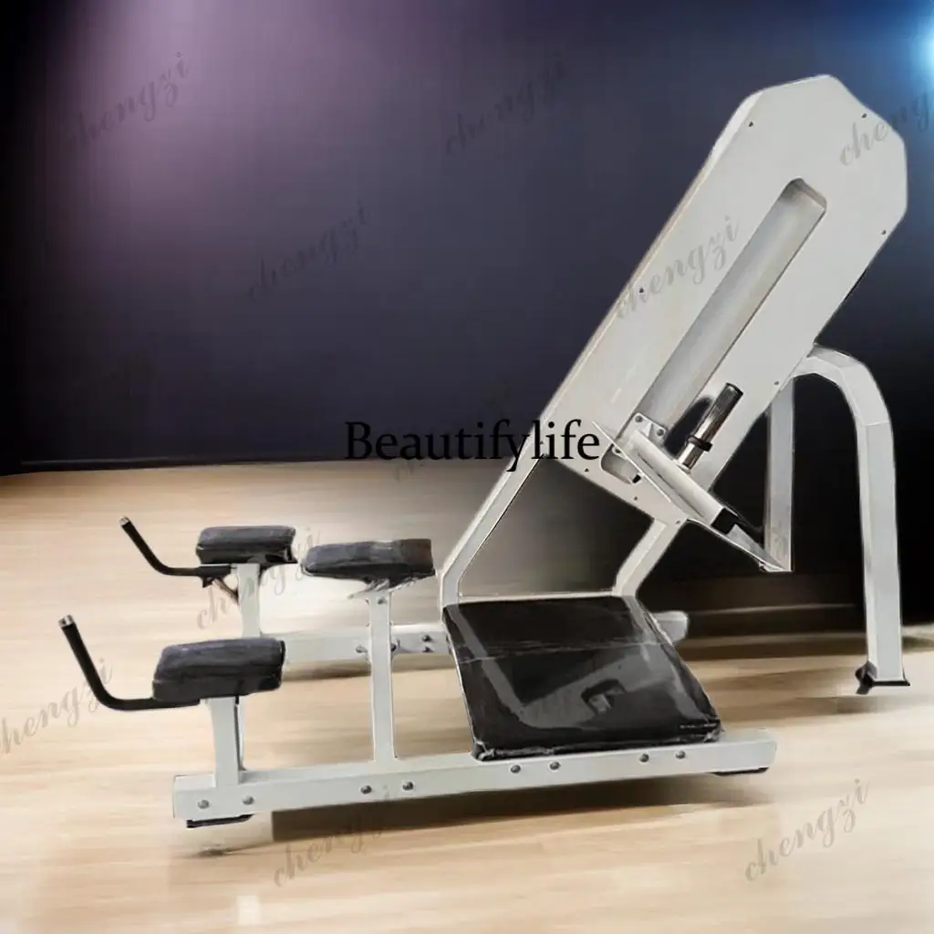 Fitness equipment Inverted legs and hips training Back chest muscle strength equipment Commercial gym special