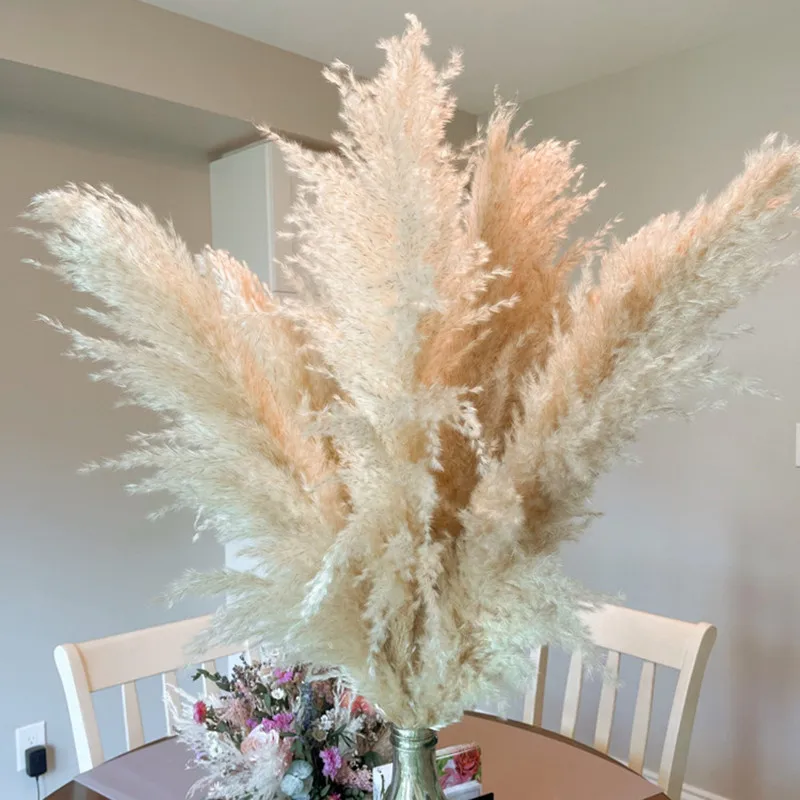 Garden Decor Big Fluffy Natural Pampas Grass Wedding Decorative Flower Large Dried Pampas Arch Flores Arrangement Decoration