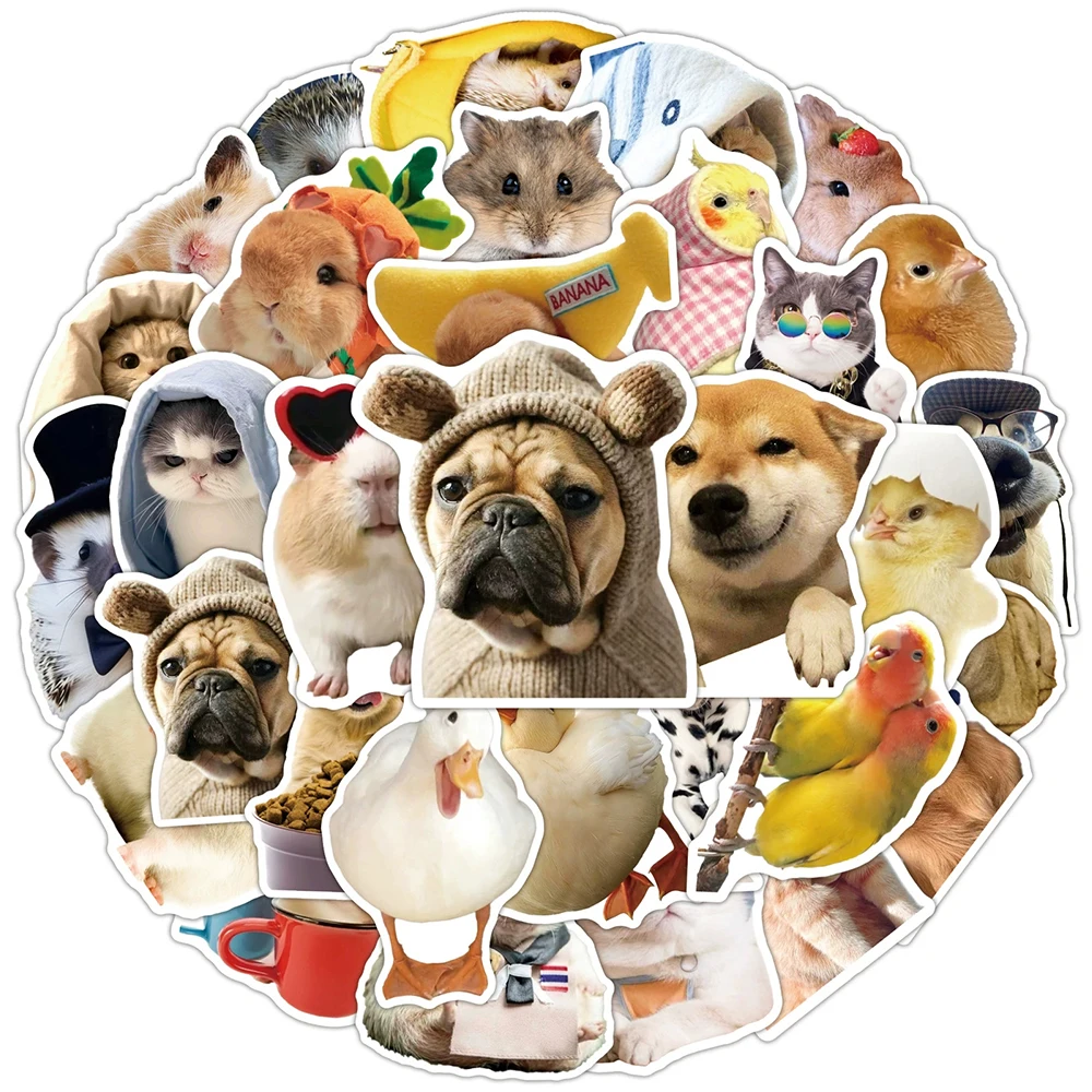 

10/30/50pcs Funny Cute Animal Meme Stickers Cartoon Cat Dog Piggy Sticker DIY Skateboard Phone Luggage Graffiti Decals Kids Toy
