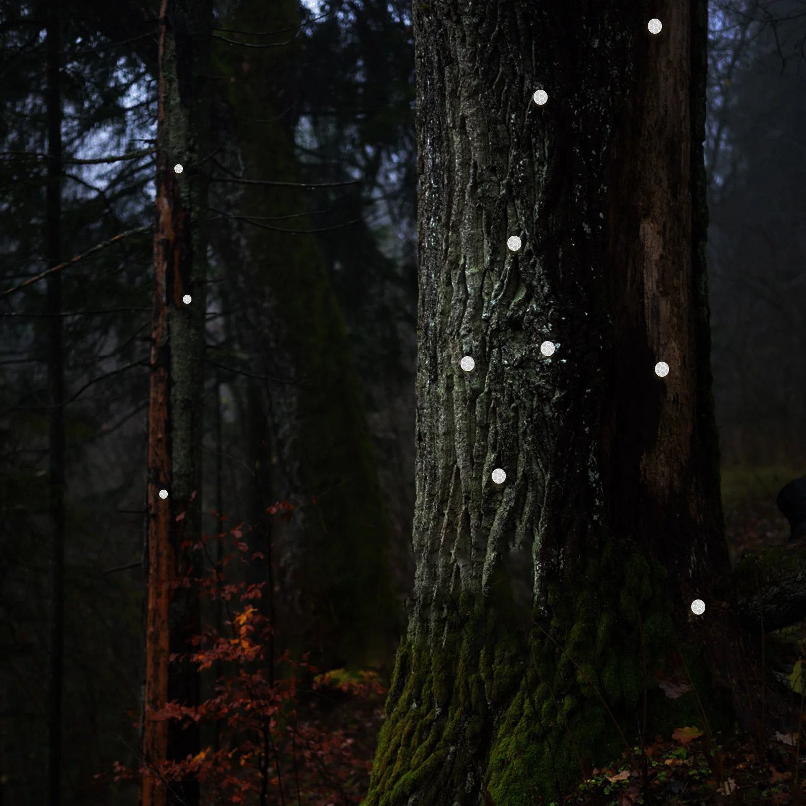 

100Pcs Metal Thumb Tacks Reflective Trail Markers for Hiking Hunting Camping Bright Reflective Coating Easy to Install Portable