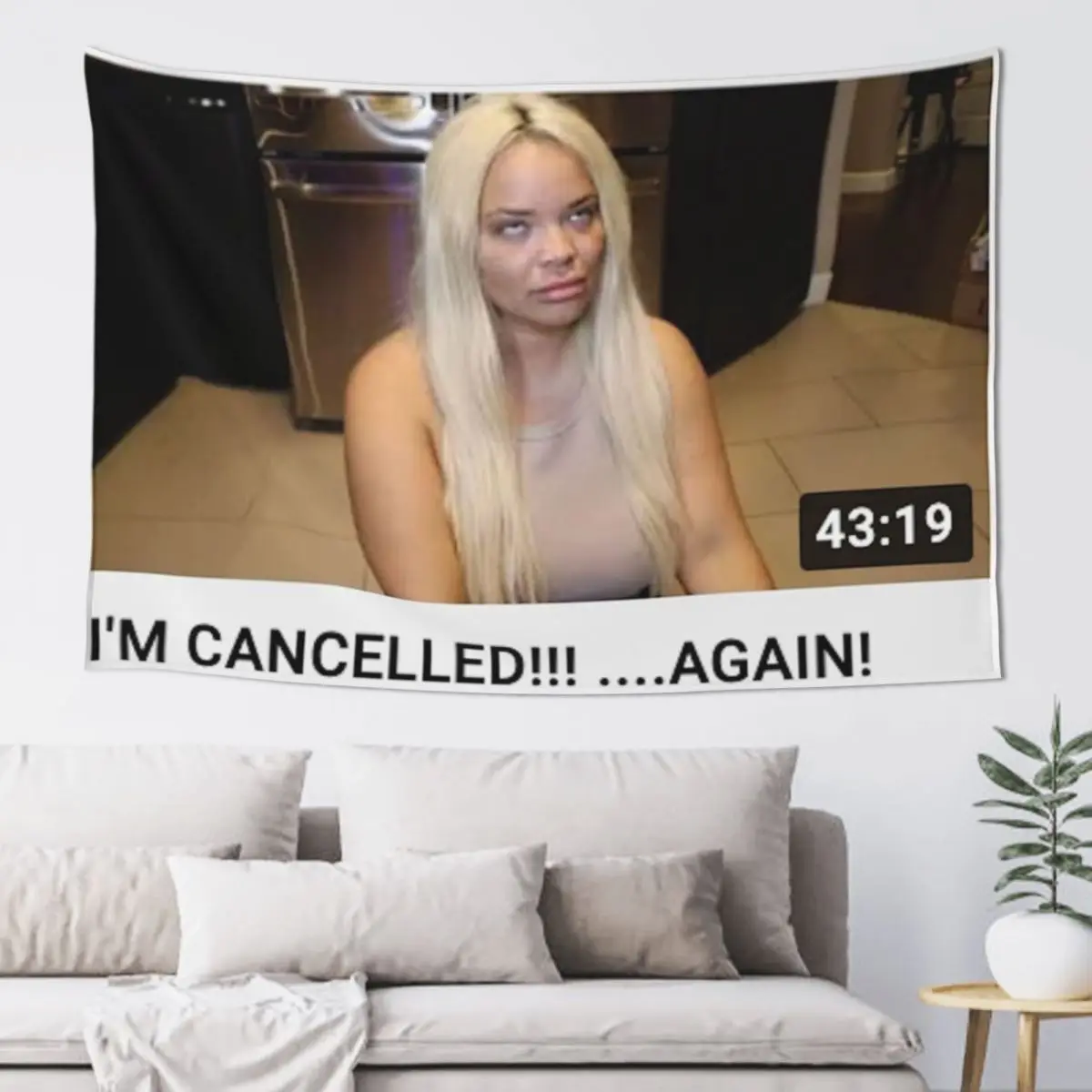 

trisha paytas Tapestry Room Decorations Wall Decoration Wall Carpet Wall Deco Tapestry